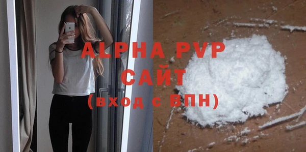 spice Богданович