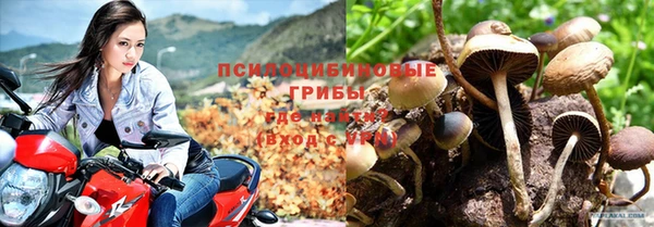 PSILOCYBIN Богородск