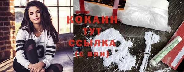 spice Богданович