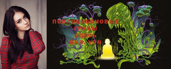 PSILOCYBIN Богородск