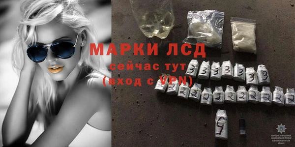 spice Богданович