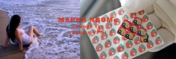 spice Богданович